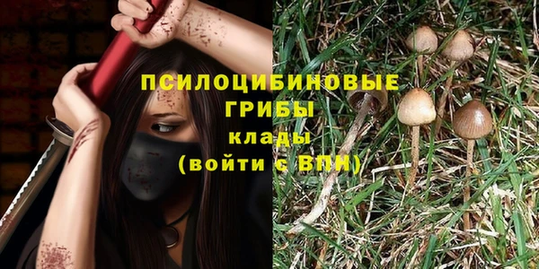 бутират Алексин