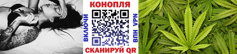 где продают   shop телеграм  Конопля ГИДРОПОН  Нестеров 